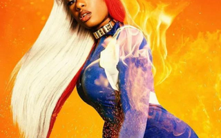 Megan Thee Stallion: Anime's Rising Influence on Hip-Hop Culture